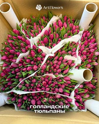Голландские и Белорусские тюльпаны оптом / Прямые поставки / Art Flowers