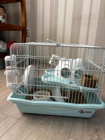 Хомяк с клеткой и аксессуарами.