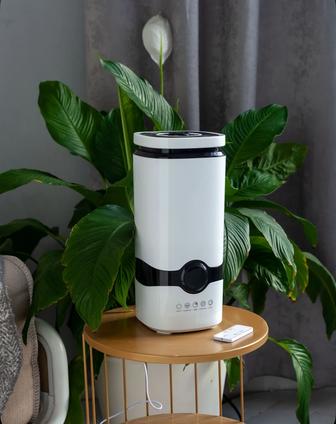 увлажнитель воздуха ультразвуковой Gizmy