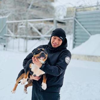 Выгул вашего питомца