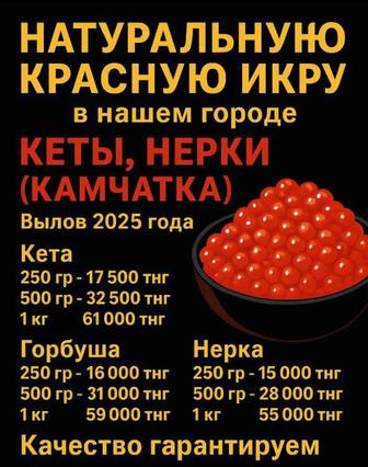 Продам свежую красную икру