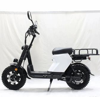 Аренда зимнего электровелосипеда