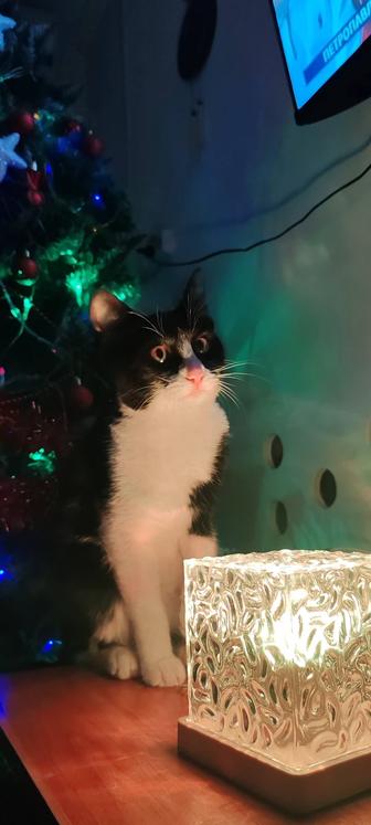 Уютный свет для новогоднего вечера - Ночник океан