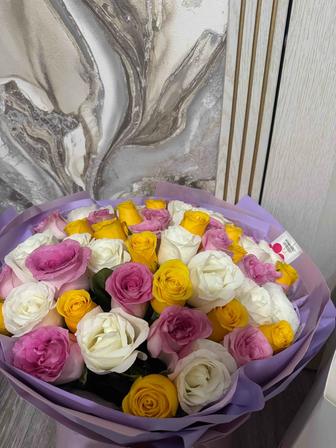 Срочно продаются цветы
Свежие
51шт
15000тг
Г.Актобе