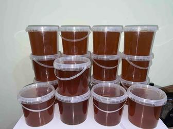 Мед ВКО(Катон-Карагай)