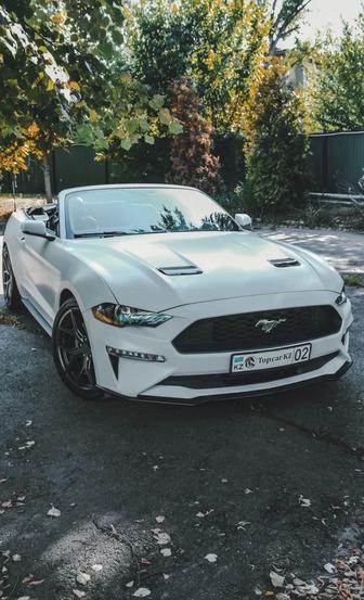 Аренда Ford Mustang кабриолет без водителя