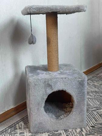 Продажа комплекса для кошки