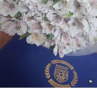 Пишу Студенческие работы