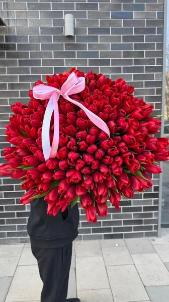 Тюльпаны ОПТОМ И В РОЗНИЦУ