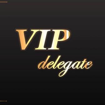 VIP delegate - сопровождение делегации, штаб ля зон офицеров и волонтеров