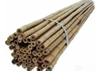 Бамбук сухой