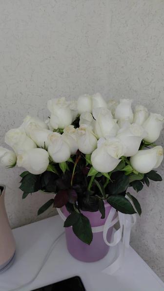 Продается цветы