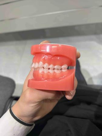 Курсы по подготовке к ент Химия и Биология