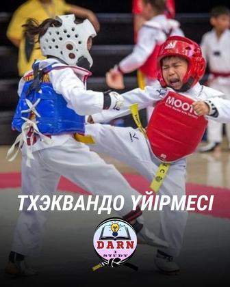 Тхэквандо спорт үйірмесі