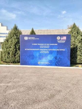 Печать баннеров, широкоформатная печать