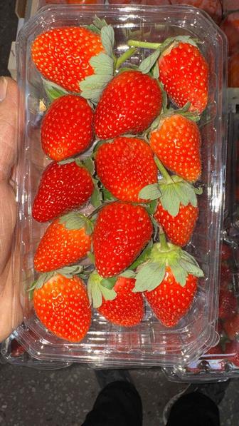 Клубника Египетская