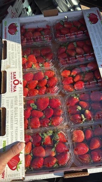 Клубника Египетская