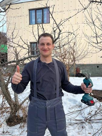 Уход за садом и участком. Обрезка деревьев, кустарников. Работа с газоном