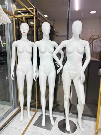 СРОЧНО! Продам оборудование для магазина по супернизкой цене!