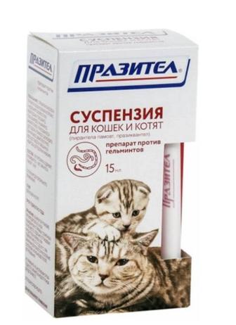 Для кошек и котят