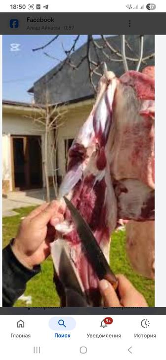 Қасапшы, малдың барлық түрін соямын, бөлікке бөліп жіліктеймін.