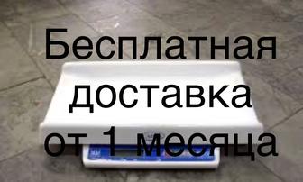 Весы для новорожденных Саша