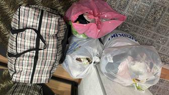 Куртка , парка