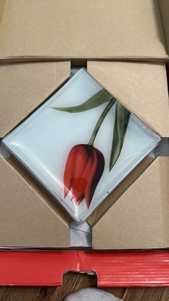 Посуда тарелки