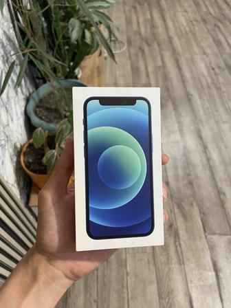 iPhone 12