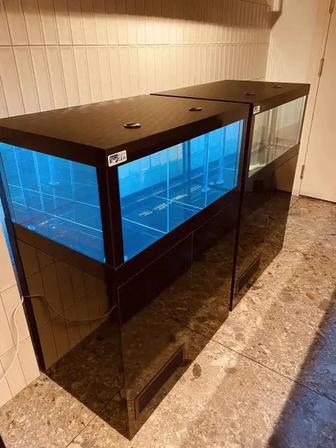 Изготовление обслуживание витрин и торговых аквариумов AQUA STORE Астана