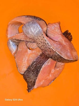 Свежая форель живая форель