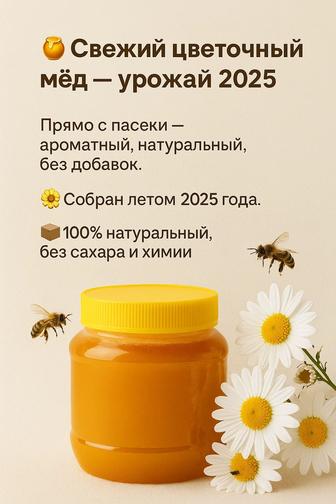 Натуральный мёд - сладкое золото природы!