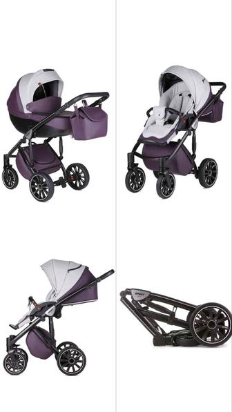 Коляска Anex sport discovery edition 2 в 1