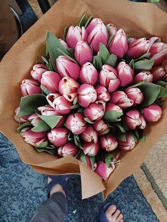 Тюльпаны к 8 марта