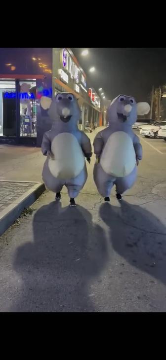 Прокат костюма крыс! На любое мероприятие