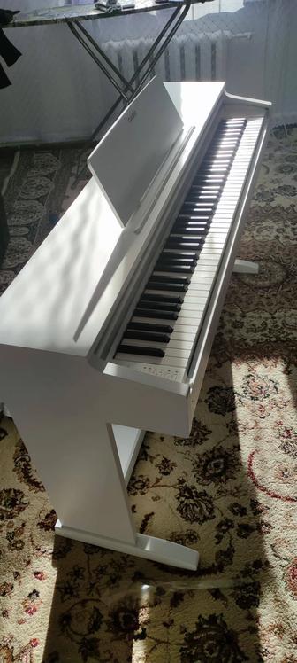 Пианино Casio Celviano