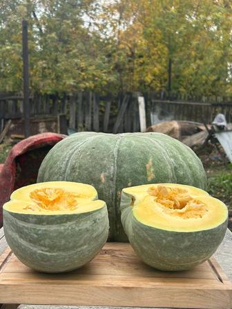 Продам тыкву домашнюю