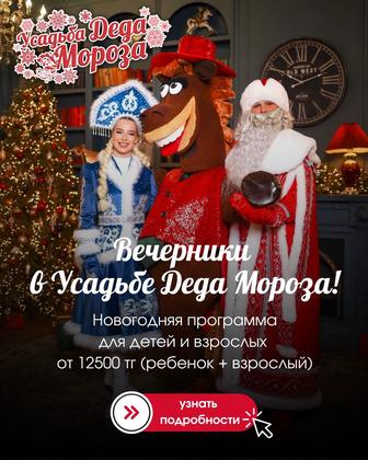 Новогодний утренник в усадьбе Деда Мороза