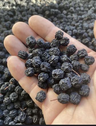 Черноплодная рябина (сушеная)