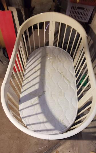 Овальный манеж