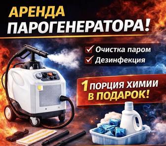 Аренда пароочистителя Karcher