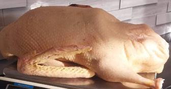 Продажа гусей(тушки)