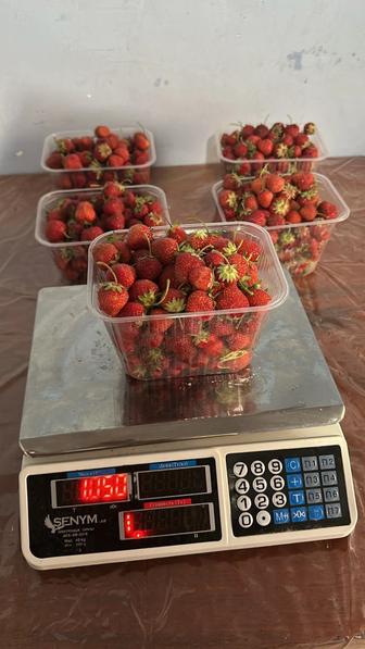 Продам клубнику
