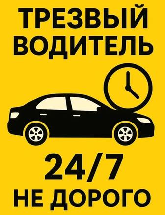 Трезвый водитель