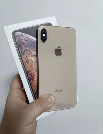 iPhone Xs Max 64gb 79%