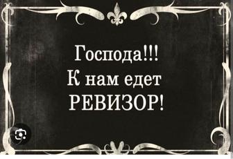 Услуги ревизора