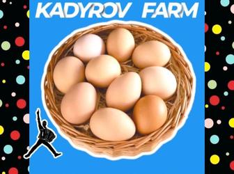 Яйца оптом с сортировкой, маркировкой и упаковкой