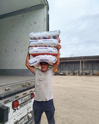 Грузчики 24/7