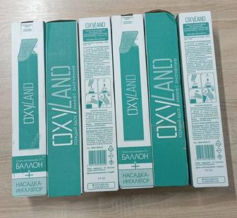 Кислородный баллончик для дыхания.