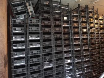 Продаю ящики